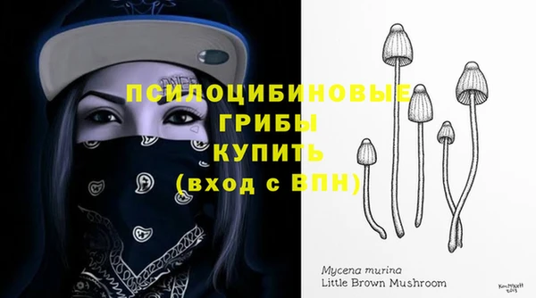 ECSTASY Беломорск