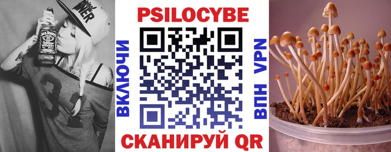 наркота  Высоковск  Галлюциногенные грибы мицелий 